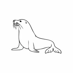 Fototapeta premium Sea Lion Illustration - A Simple Line Drawing of a Cute Sea Lion