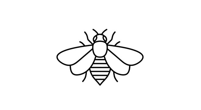 Detailed drawing of a bee insect.