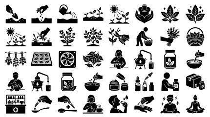 Fototapeta premium Herbal Medicine Production and Natural Pharmacy Black Silhouette Icon Set