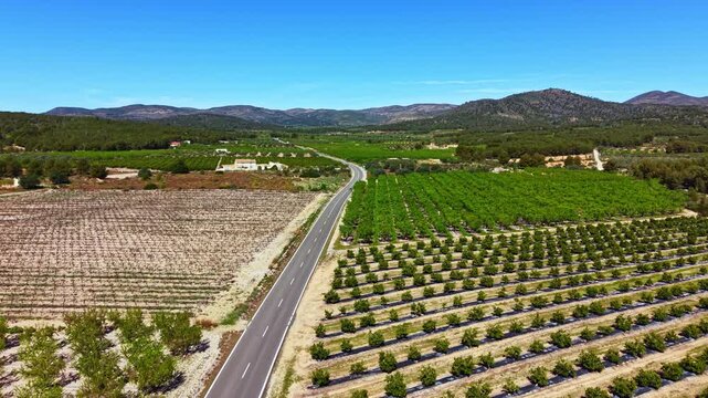 Rows of grapevines and farmland cover the landscape with a winding road in between. Mountains rise in the background, showing clear blue skies above.