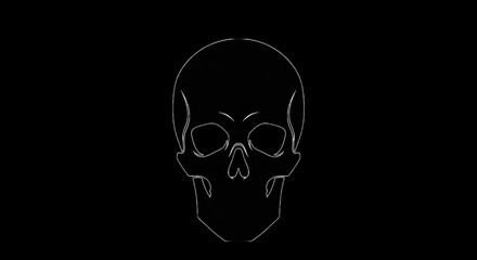 Fototapeta premium A white line drawing of a human skull on a transparent background