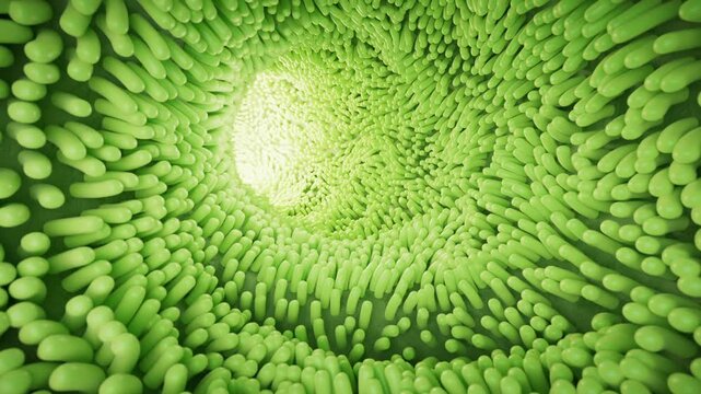 Wormhole tunnel animation of intestinal villi micro view, microscopic biological motion.
