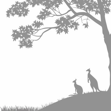 Two kangaroos standing under a tree on a hill