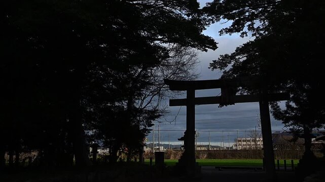 饒石神社を通過するEF210牽引の貨物列車 （東海道本線 安土 - 近江八幡, 2026年3月）