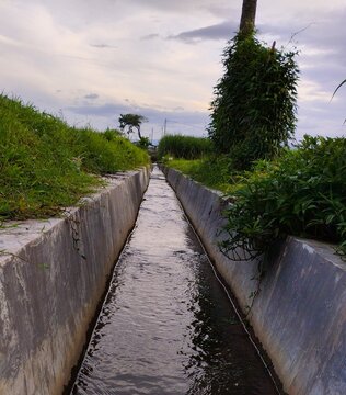 clean irrigation channels in rice fields