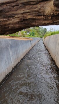 clean irrigation channels in rice fields
