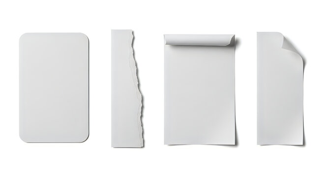 Various conditions of paper with different edges and folds