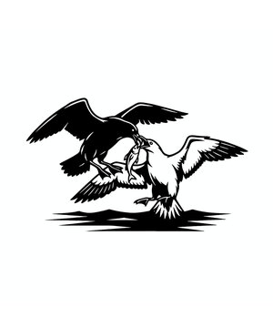 Two wild birds fight over a small fish in this detailed high contrast black and white vector illustration.