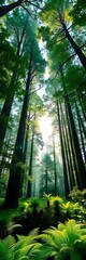 Fototapeta premium Towering trees with emerald canopies create a sense of awe, sunlight filtering down onto a fern-laden ground, foliage, ferns