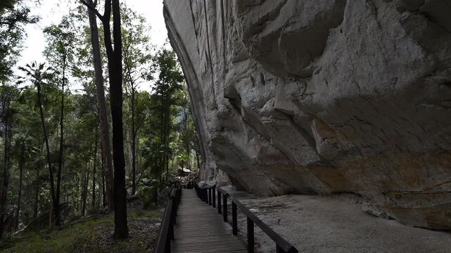 Aboriginal rock art on cliff, Carnarvon Gorge