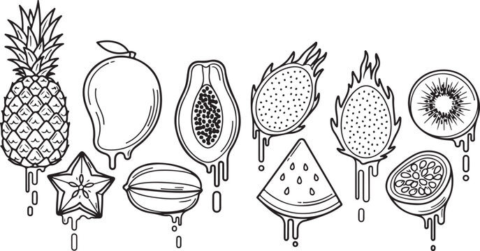 A collection of sea creatures including starfish, seashells, and coral Vector