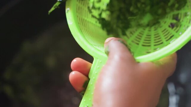 Closeup of hands draining greens through colorful plastic strainer during cooking. Detailed view of hands expertly rinsing chopped vegetables with lively bright green strainer in kitchen