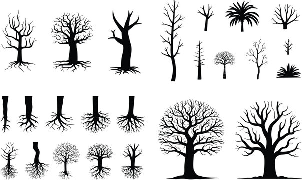Tree silhouettes collection, diverse root systems, botanical shapes, black plant outlines, isolated white background, nature illustration, forest design art