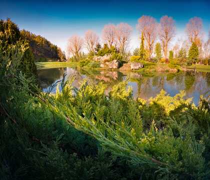 Picturesque spring view of botanical garden. Calm morning scene of small pond.