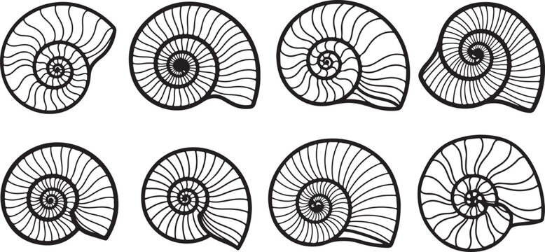 Intricate geometric patterns in symmetrical mandala designs Vector