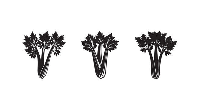 Blackandwhite illustrations of celery stalks with leaves on white background for food and vegetable design