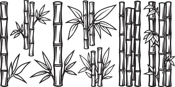 Elegant black and white illustration of a botanical garden archway with decorative ironwork Vector