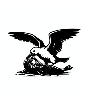 Aggressive predatory bird with large wings attacks and consumes a helpless seal in this black and white illustration