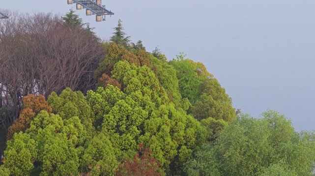 Spring Scenery of Yuehu Park and Guqin Terrace Scenic Area in Wuhan, Hubei, China