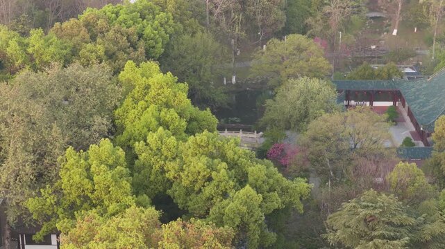 Spring Scenery of Yuehu Park and Guqin Terrace Scenic Area in Wuhan, Hubei, China