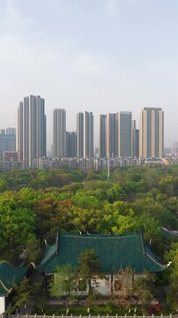 Spring Scenery of Yuehu Park and Guqin Terrace Scenic Area in Wuhan, Hubei, China