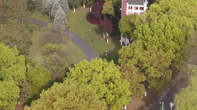 Spring Scenery of Yuehu Park and Guqin Terrace Scenic Area in Wuhan, Hubei, China