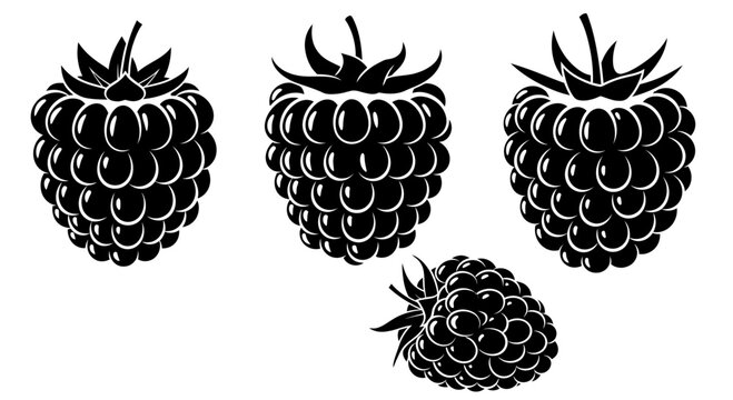 Black and White Silhouette of Four Ripe Raspberries