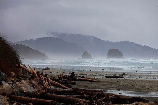 Dramatic rock formations line the coast of Northwestern Oregon