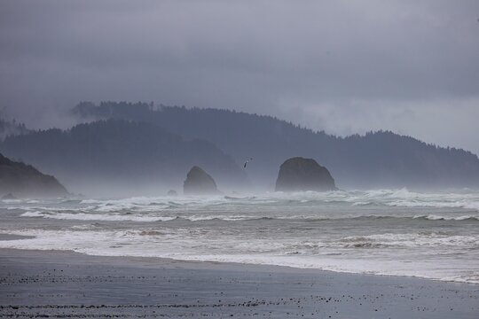 Dramatic rock formations line the coast of Northwestern Oregon