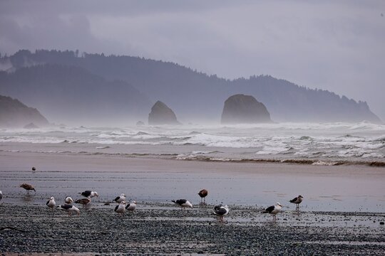 Dramatic rock formations line the coast of Northwestern Oregon