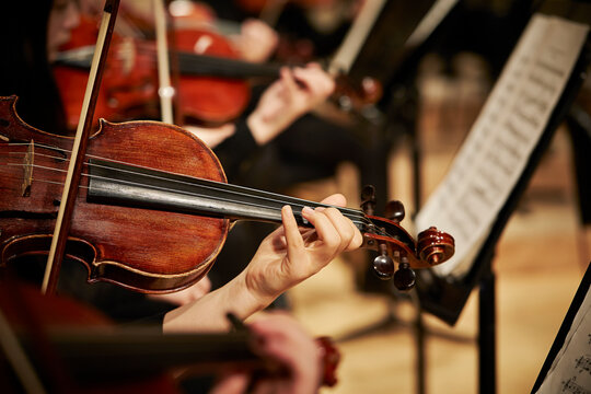 musician playing the violin