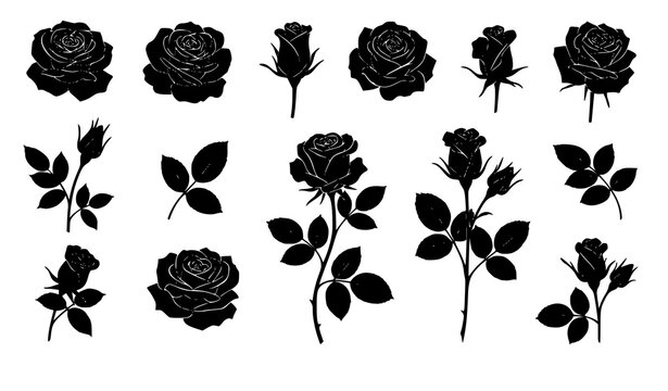 Classic rose flower silhouette set blooming roses buds vector isolated on white background