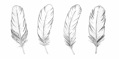Four detailed feather illustrations in grayscale arranged vertically © SagoriRani