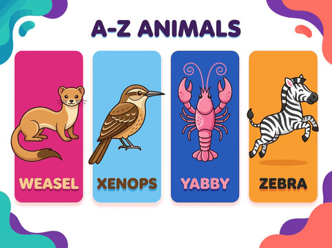 Educational Alphabet Animal Flashcards for Kids - Letters W to Z Featuring Weasel, Xenops, Yabby, and Zebra Illustration