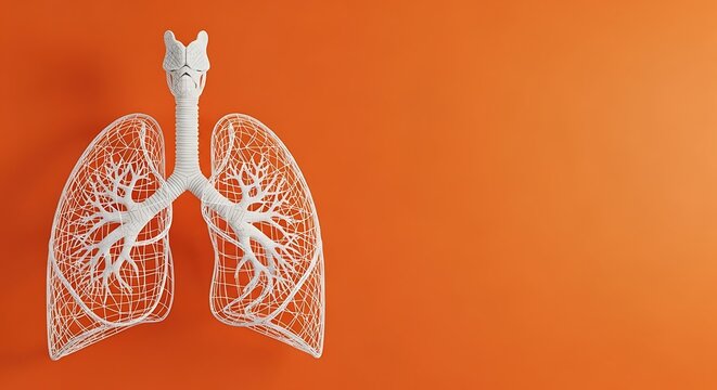 White skeletal lung model with trachea on an orange backdrop, showcasing medical illustration