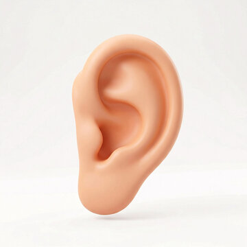Oreille humaine en gros plan illustrant l&rsquo;audition et les sens