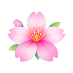 Fototapeta premium PNG Vibrant cherry blossom illustration.