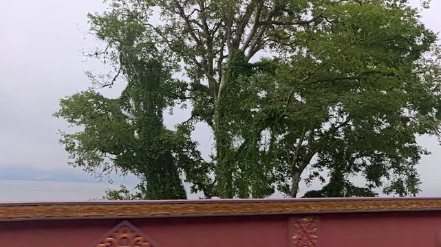Driving Past Foggy Lake Bratan in Bali with Lush Trees and Decorative Bridge