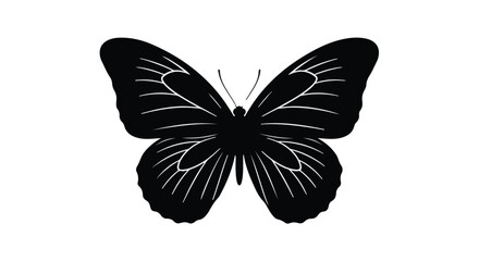 Fototapeta premium Butterfly silhouette with intricate wing patterns is isolated against a plain white background.