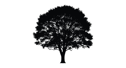 A majestic tree with dense foliage stands prominently against a white background silhouette © nhpvect02