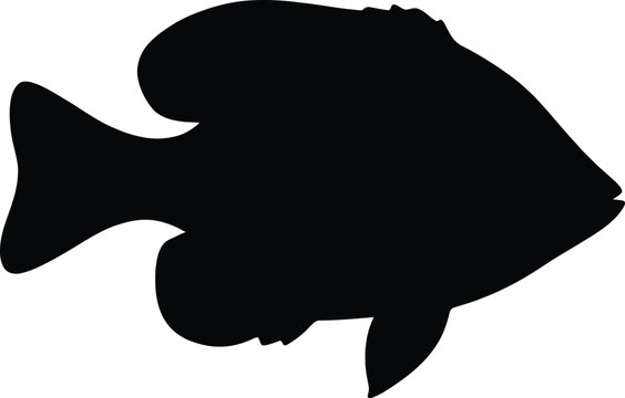 Black vector silhouette of a sunfish or panfish isolated on a white background for fishing and nature graphics