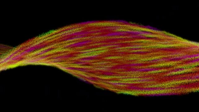 Abstract colorful particle wave flowing on black background seamless loop