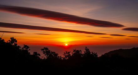 Fototapeta premium A vibrant golden sunset sky glowing above the dark silhouette of the trees in the late evening