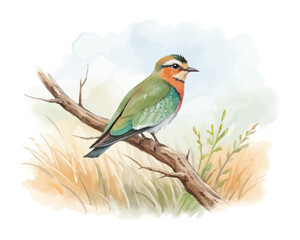 Obraz premium Watercolor Lapwing Bird Illustration, Meadow Bird Clipart vector isolated on white background