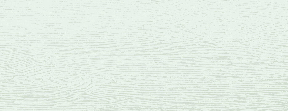 Textured white wood background vector