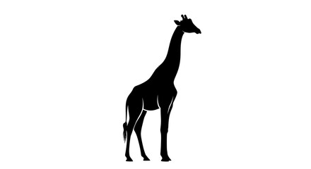 Fototapeta premium Black Silhouette of a Giraffe Standing on White Background
