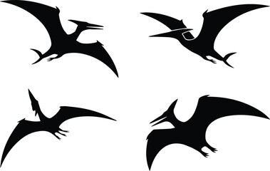 Pterosaur silhouettes in flight © Icon Stock