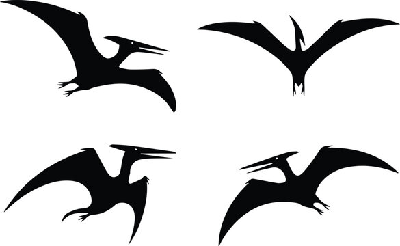 Four pterosaur poses for reference