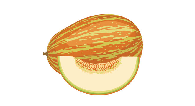 Illustration of a whole striped melon and a fresh slice displaying numerous seeds and light green flesh for seasonal food and fruit themes.