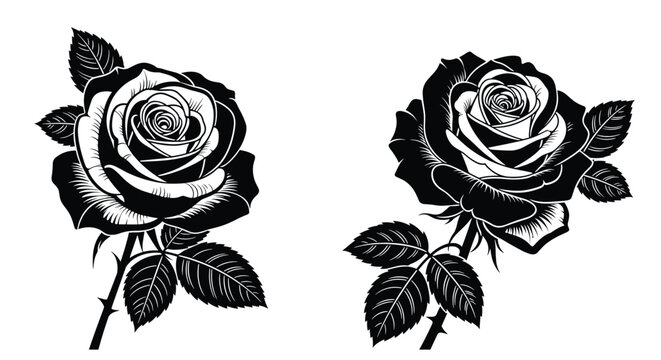 Pair of highly detailed rose illustrations in black and white featuring complex petal layers leaves and thorns for classic floral design work.